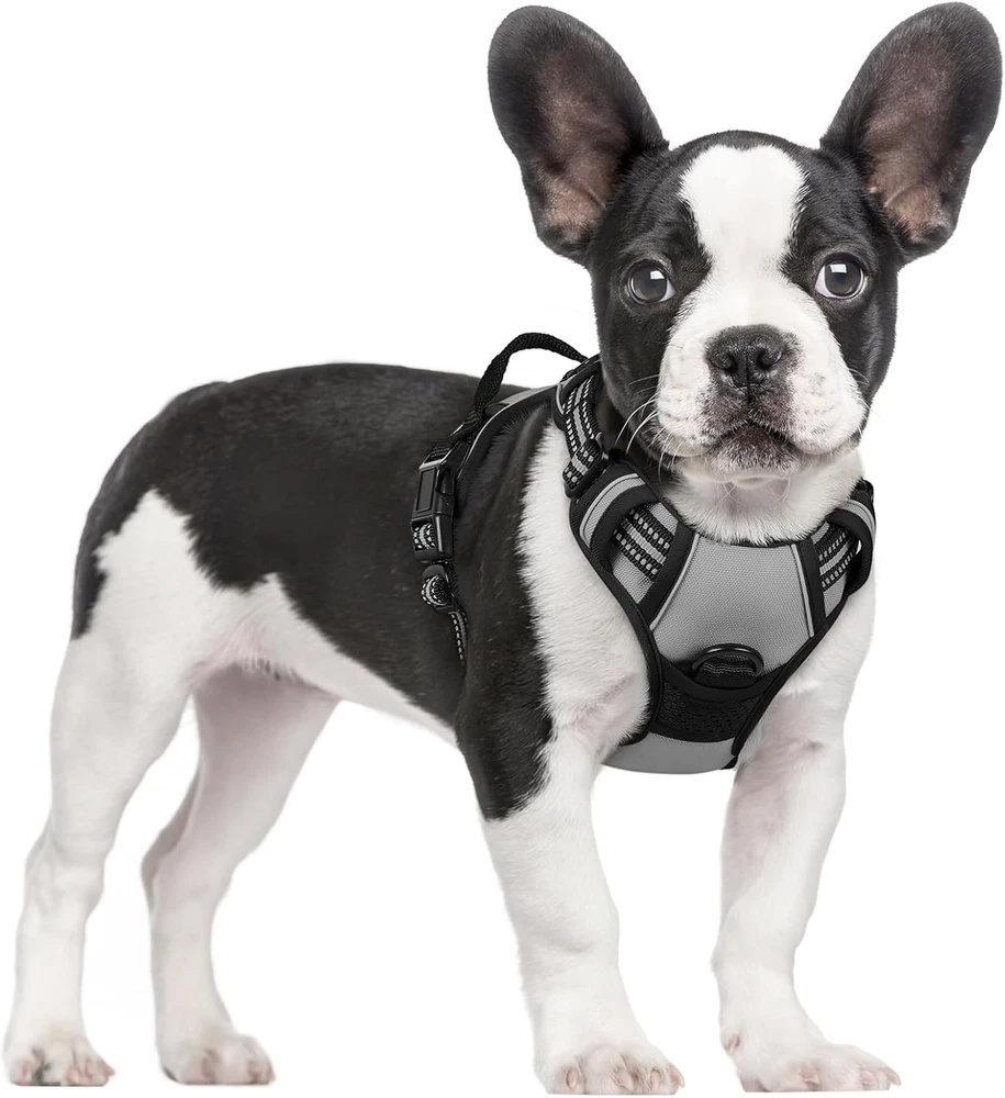 Dog Harness No Pull with 2 Leash Clips, Adjustable Soft Padded, Reflective Oxfor