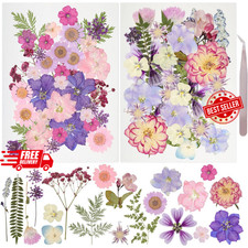 50Pcs Dried Pressed Flowers Resin Mould Real Pressed Flowers Natural Dry Leaves