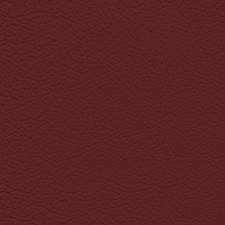 BMW Cardinal Red Leather Dye