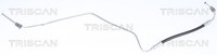 Triscan Bremsschlauch 8150 25229 FüR Renault Clio 3 BR0 CR0 Modus KR0 BR01 BR03