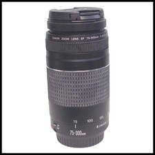 Canon EF 75-300mm f/4-5.6 III Telephoto Zoom Lens Tested Works
