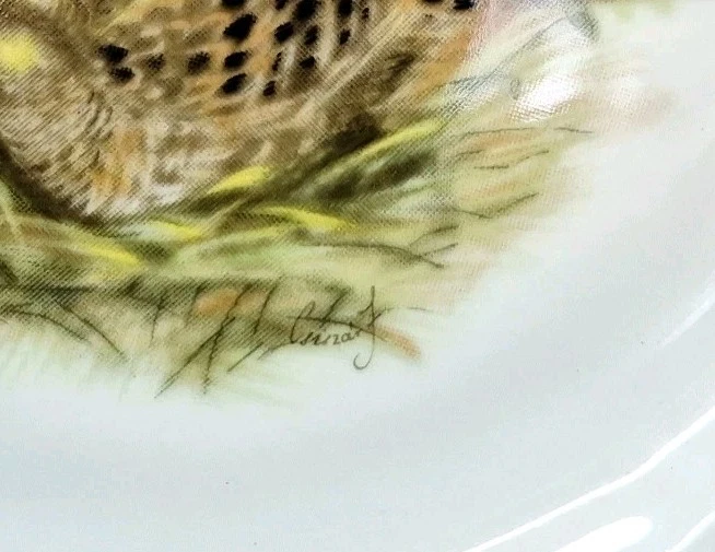 Plato de ensalada de faisanes Seltmann Weiden 7 1/2" retirado raro Foto 2 de 4