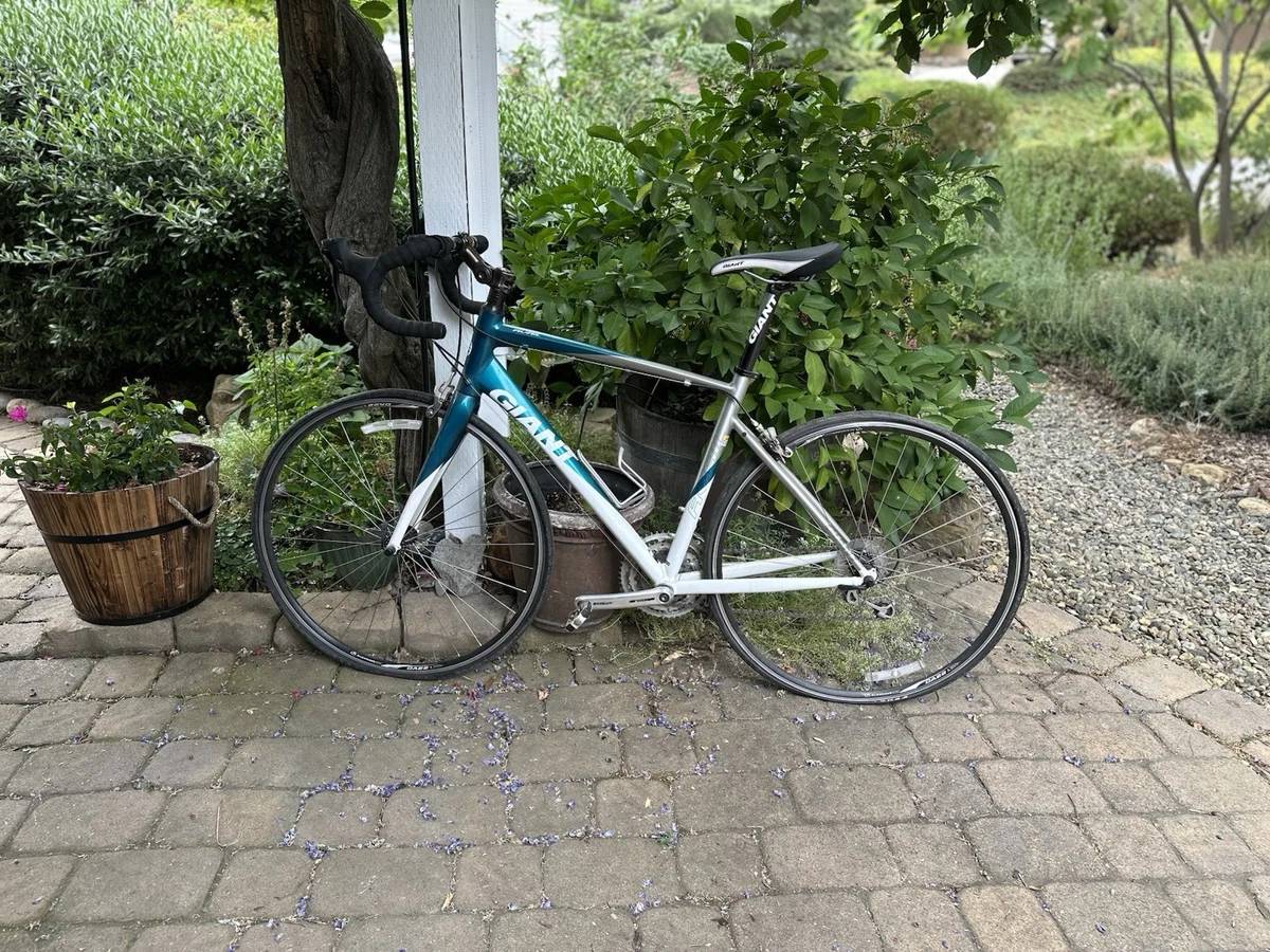 Giant Road Bike Bikes for sale - eBay