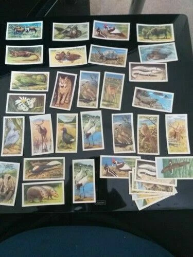 Individual/Type Cards Loose Collectable Tea Cards