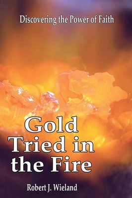 Go*d Tried In the Fire Discovering the Power of Faith Robert J. Wieland Buch