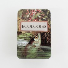 Montrose Biology Ecologies Card Game Science Build Food Webs Biomes 2019