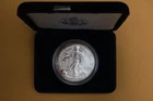 2006-P American Silver Eagle One Ounce Reverse Proof with Case - Toning