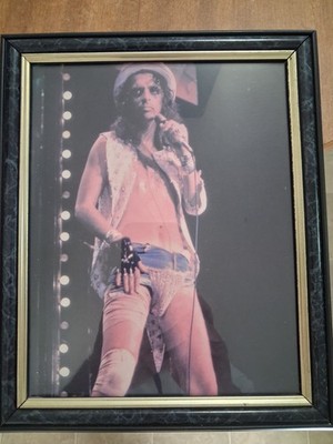 Alice Cooper Framed  8 X 10 Print, Number 107