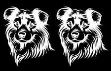 Border Collie - 2 PK White Vinyl Graphic Decal Car Truck Windows Laptop Notebook