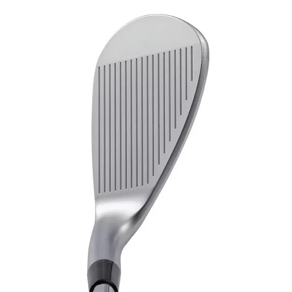 KASCO GOLF JAPAN 2023 DOLPHIN WEDGE DW-123 NS PRO 950GH Neo Steel