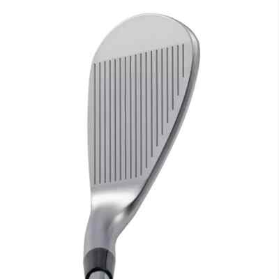 KASCO GOLF JAPAN 2023 DOLPHIN WEDGE DW-123 NS PRO 950GH Neo Steel