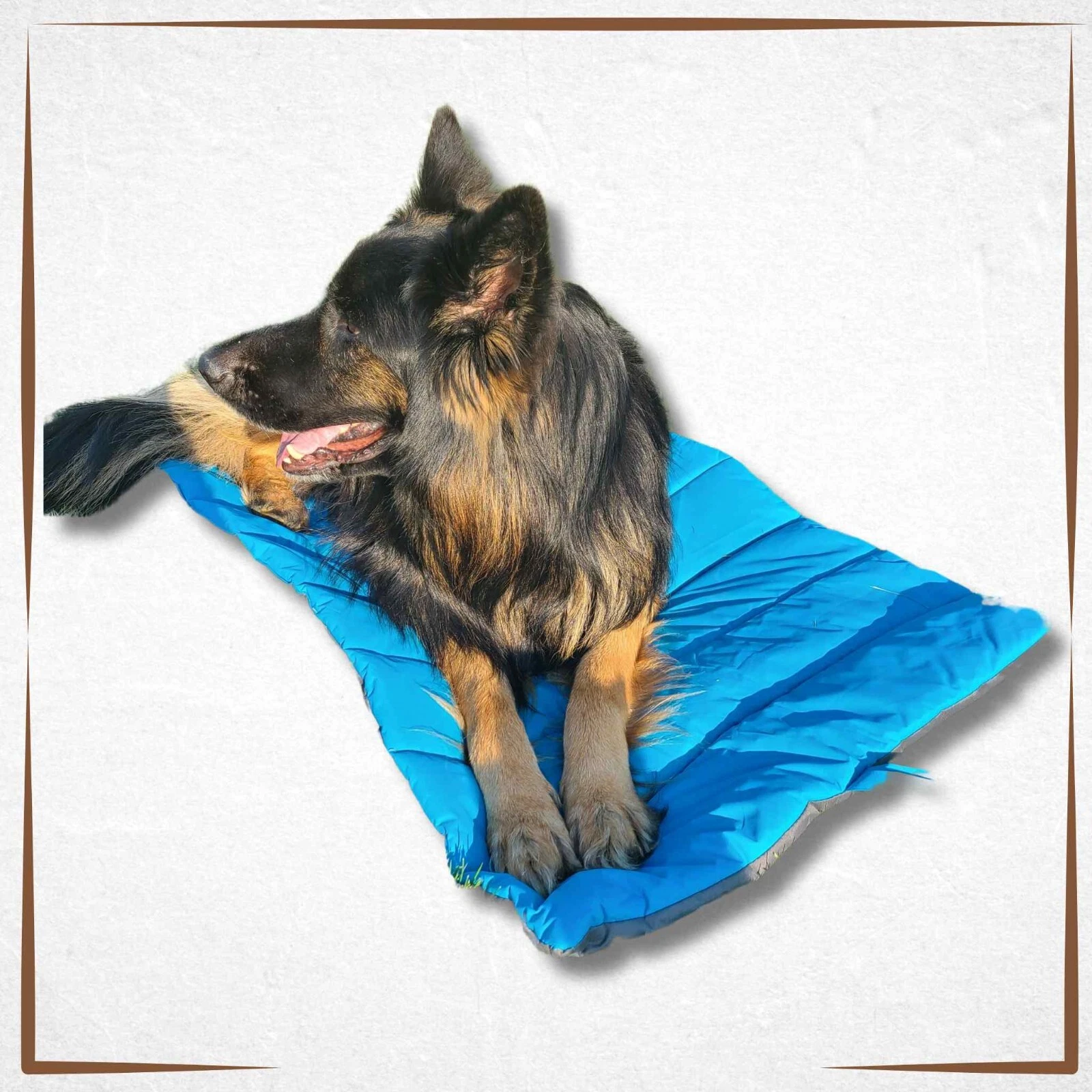 Large Dog Cooling Mat Portable Cooling Pet Pad Cooling Mattress for Dogs