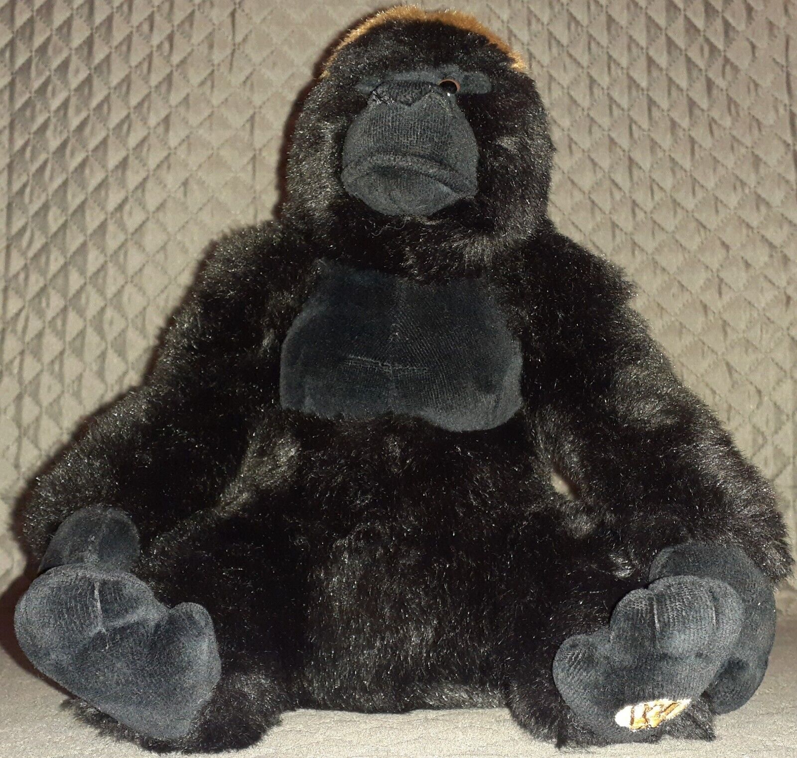 Picture 8 of 12