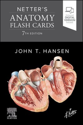 Netter's Anatomy Flash Cards | John T. Hansen | Netter Basic Science | Englisch
