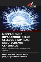 Meccanismi DI Riparazione Delle Cellule Staminali Nell'ischemia Cerebrale Buch