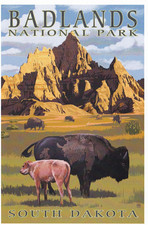 Badlands National Park South Dakota Art Poster Postcard