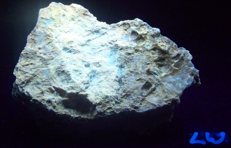 Fluorescent Chalcedony with Magnesite - Burro Creek, AZ Medium Specimen