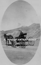 C. 1900's MAN HORSE & BUGGY 5X7 PRINT PHOTO F651