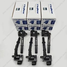 Ignition Coil Beru & Spark Plug Double Iridiu...