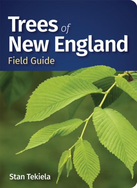 Trees of New England Field Guide by Stan Tekiela PAPERBACK 9781647554538
