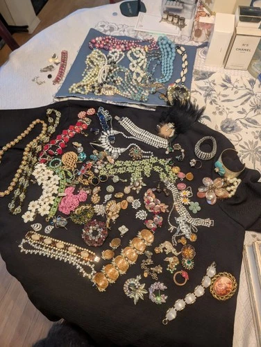 Sibley, Lindsay & Curr Co. Vintage Costume Jewelry Lot 50+ Necklaces Earrings