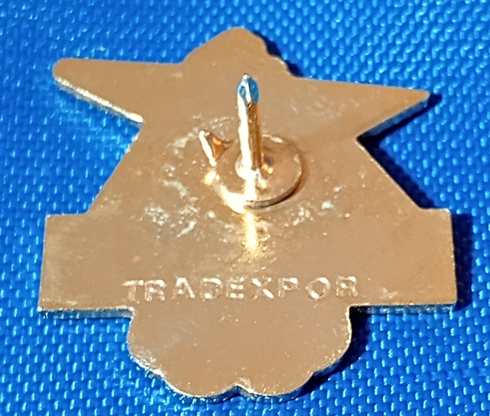 2002 SION VALAISWALLIS CANDIDATE BID CITY OLYMPIC PIN Falak Tayyeb Platinum Government