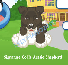 Webkinz Signature Collie Aussie Shepherd Virtural Adoption Code Only Messaged