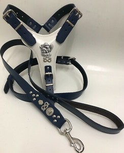 staffy harness