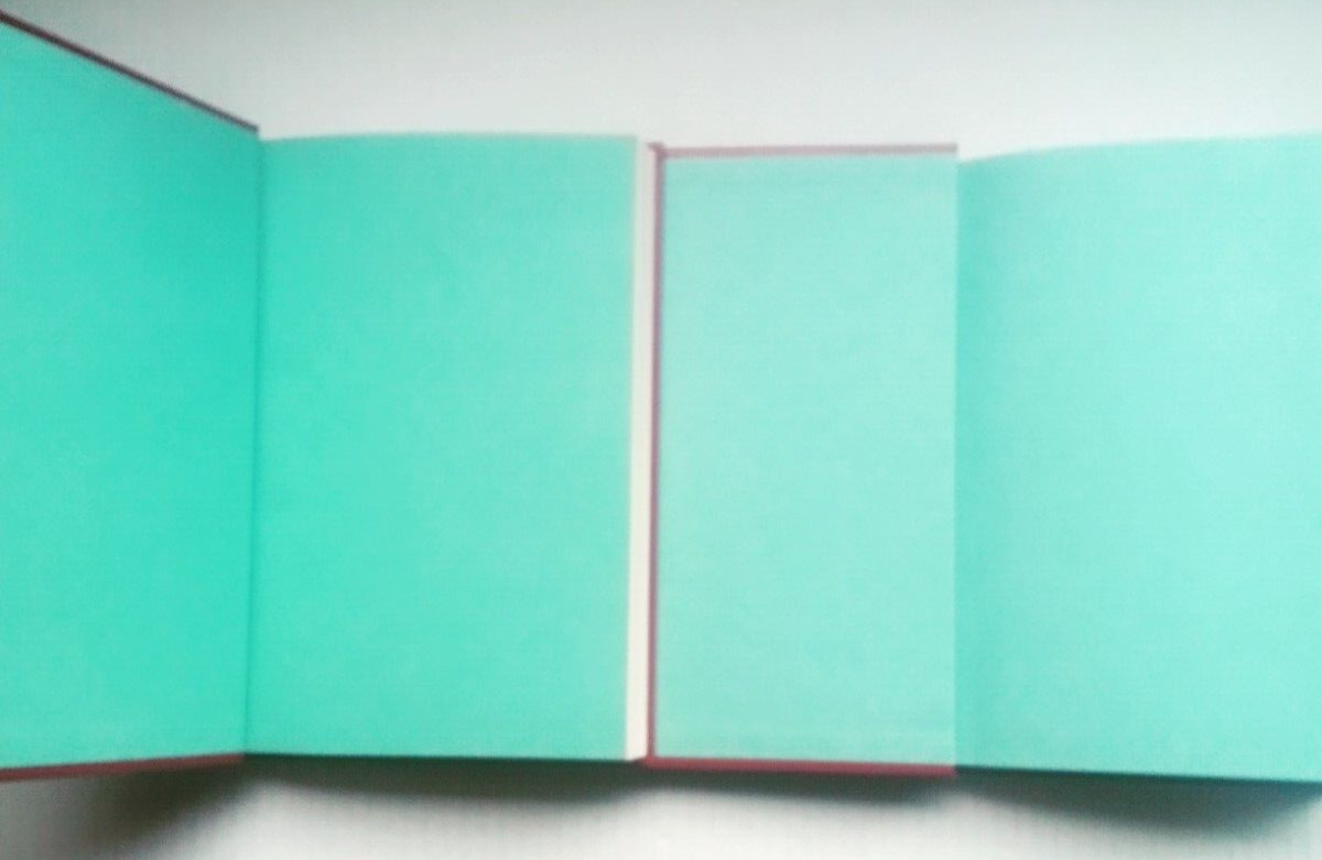 Lot of 2 Discovery Toys YA Books Black Beauty & The Wind in the