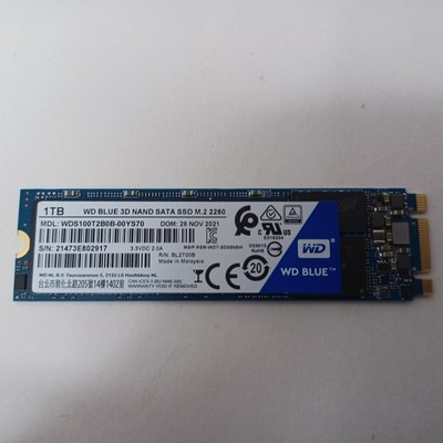 Western Digital WD Blue SATA 1TB M.2 2280 Internal SSD  (11 HOUR ON) WDS100T2B0B