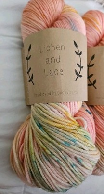 Lichen & Lace Superwash Merino Yarn 1 Sk ''I SEE SEASHELLS'' 4Ply 115g 200 Yards