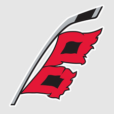 Carolina Hurricanes Vinyl Sticker Decal 03