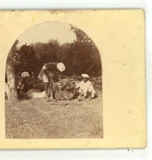Shoeing a Bullock India Capt Allan N Scott Stereoview c1860