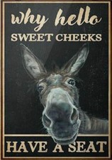 Toilet Restroom Black Donkey Why Hello Sweet Cheeks Have A Seat Tin Metal Signs