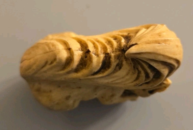 Foto 5 di 5