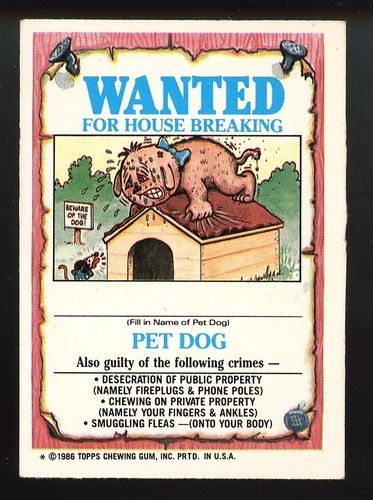 1986 Topps Garbage Pail Kids #165a DANA DRUFF Glossy - Picture 2 of 2