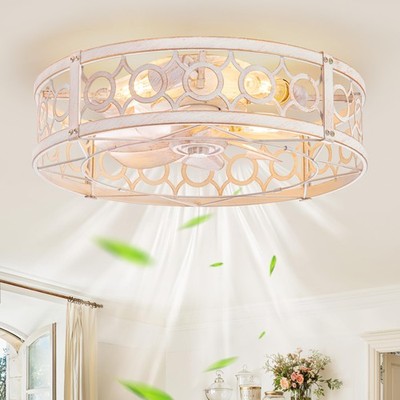 Caged Ceiling Fan with Light and Remote, 20in Small Low Profile Ceiling Fans ...