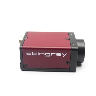 STINGRAY F125BIRF E0010151 NSNP