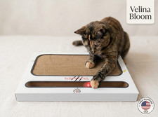 2X Cat Scratching Pad with Ball Toy 44cm  Corrugated Cardboard Scratcher