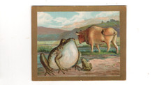 1910 T57 Turkish Trophies Fable Series #16 The Frog and the Ox, Beautiful Card!