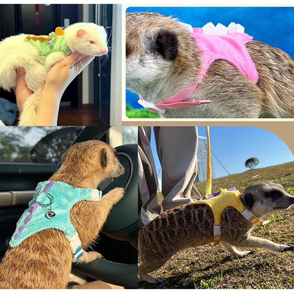 Arnés y correas de hurón ajustables para conejito pequeño arnés y correas Foto 4 de 4