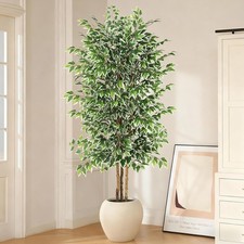 7ft Large Ficus Artificial Tree with Natural Trunk -NO VASE Included