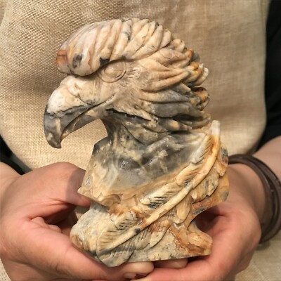 0.8kg Natural Crazy agate Quartz hand Carved eagle skull crystal Reiki xk400