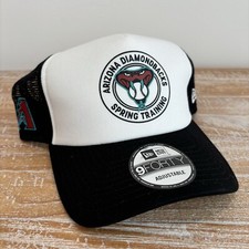 New Era Arizona Diamondbacks Team Spring Training 9Forty 940 Adjustable Hat Cap