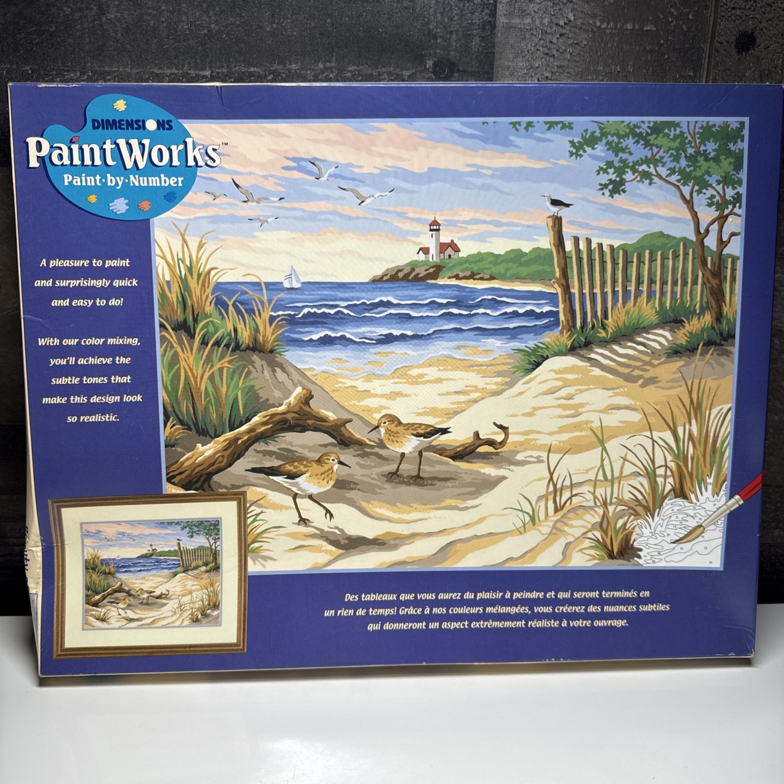 1999 Beauty of the Beach DIMENSIONS PAINTWORKS PAINT BY NUMB