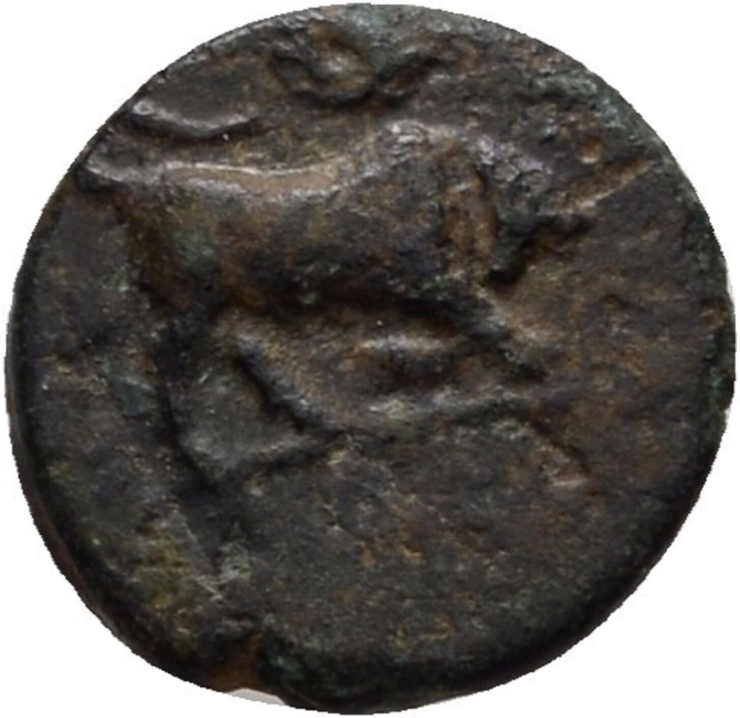 Embouts Cordon Bronze Et Doré