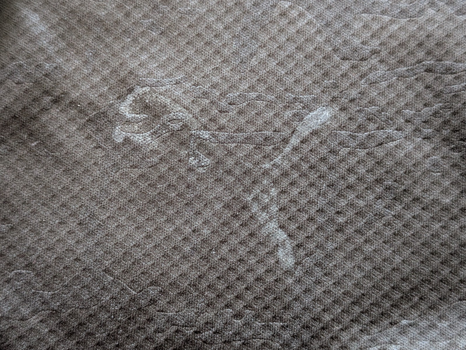 Picture 12 of 13