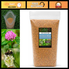 Three-Part Clover Seed Blend - Beauty, Cover  Attractant - 5lb Premium Seeds