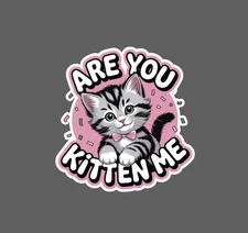 Are You Kitten Me Sticker Waterproof Decal Cat Animal Pet Cute Family Gift NEW
