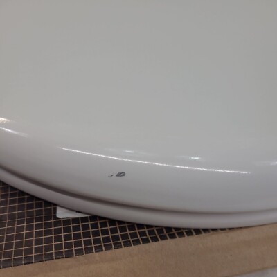 BEMIS 9170CHSL 000 Toilet Seat With Chrome Hinges Will Move Closer